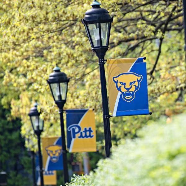 pitt flags