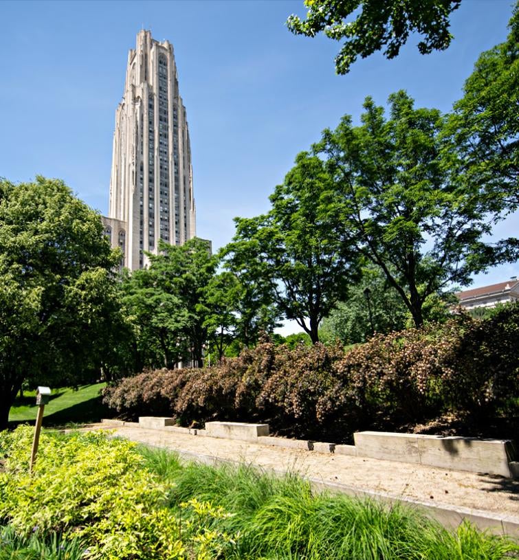 Cathedral of learning