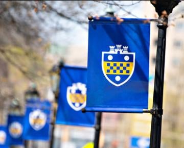 pitt flags